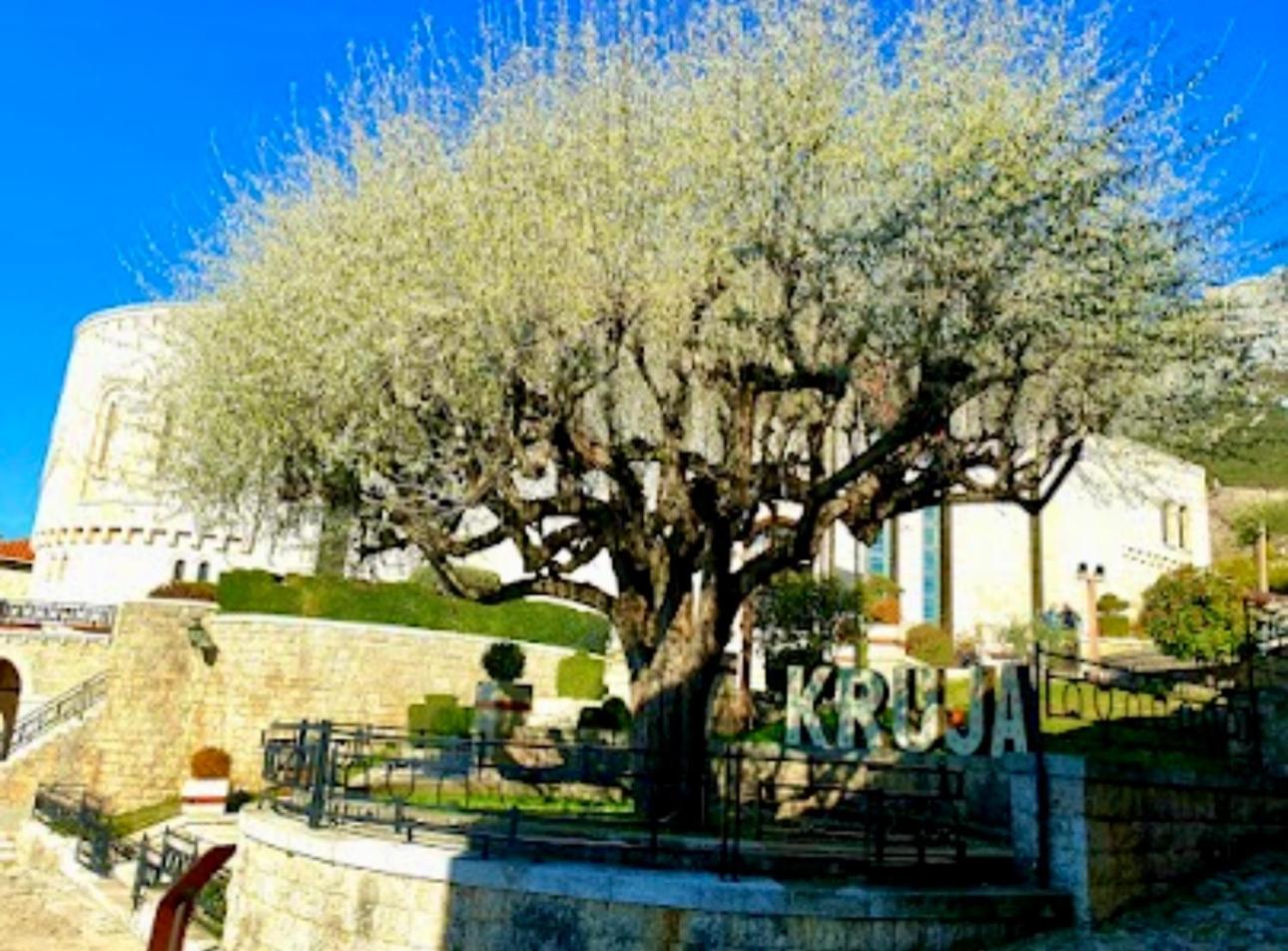 House Hasa Daire Krujë Dış mekan fotoğraf